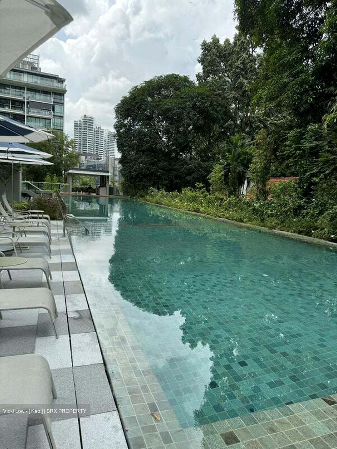 15 Holland Hill (D10), Apartment #458400011